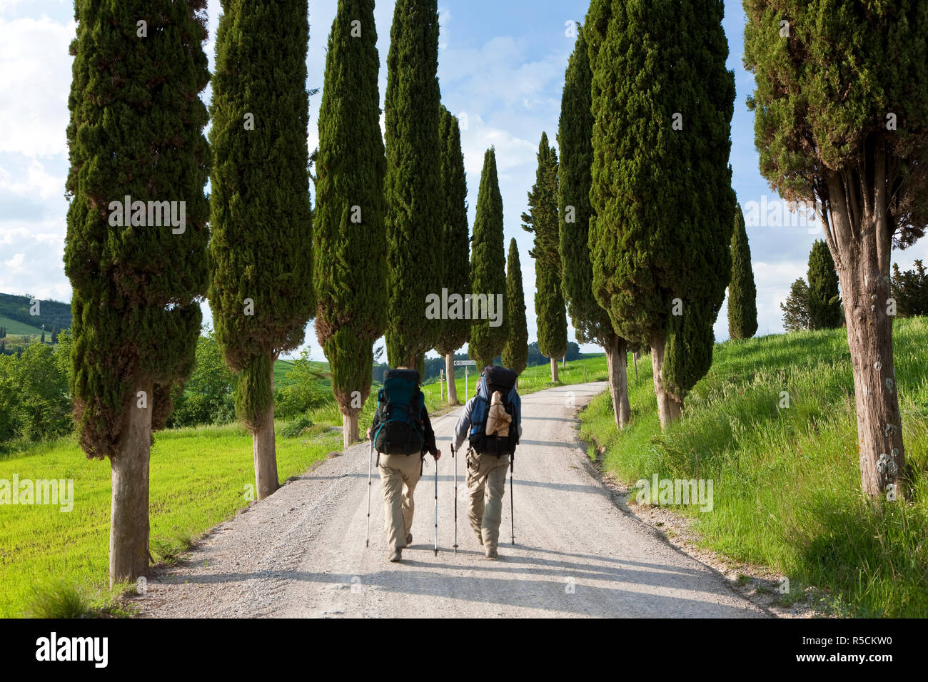 Winding Road, nr Pienza, Tuscany, Italy Stock Photo
