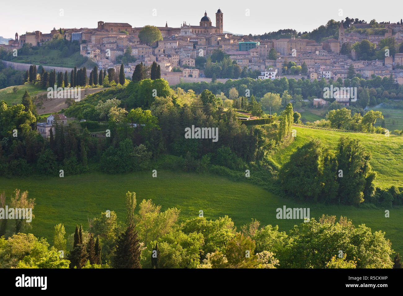 Urbino skyline hi-res stock photography and images - Alamy