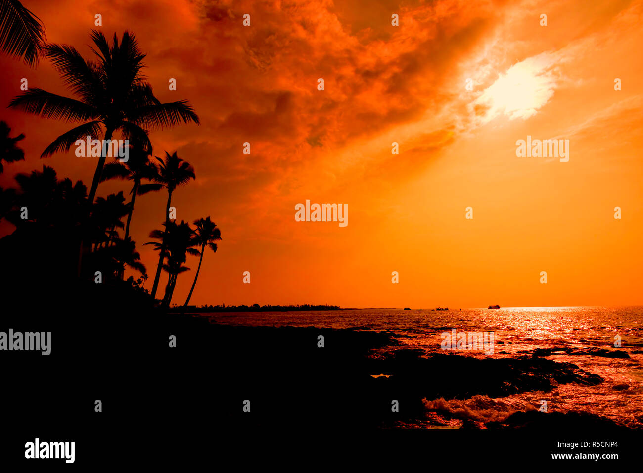 Hawaii sunset palm trees red hi-res stock photography and images - Alamy