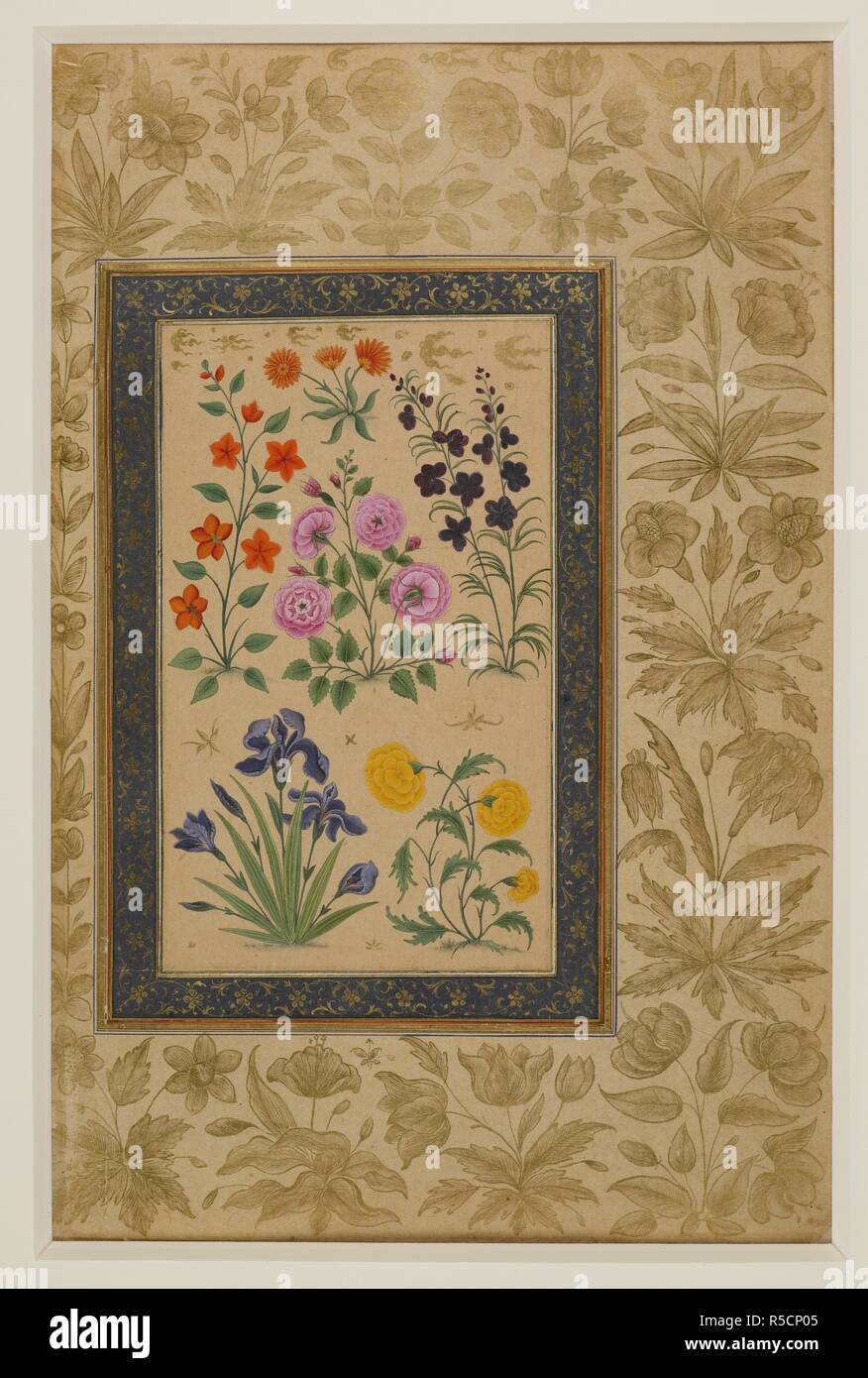 A pink rose, a blue iris, a pimpernel and other flowering plants; gold clouds at top. Dara Shikoh Album. 1630 - 1640. Opaque watercolour. Gouache with gold; background uncoloured. Source: Add.Or.3129, f.67v. Author: ANON. Stock Photo