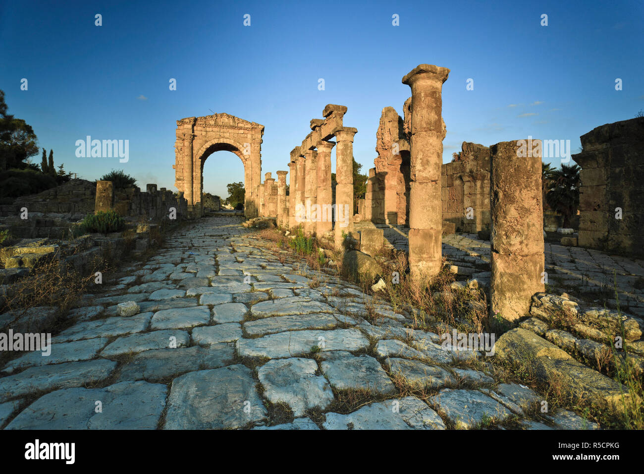 Lebanon, Tyre, Al Bass UNESCO site, Colonnaded Street and Roman Triumphal Arch Stock Photo