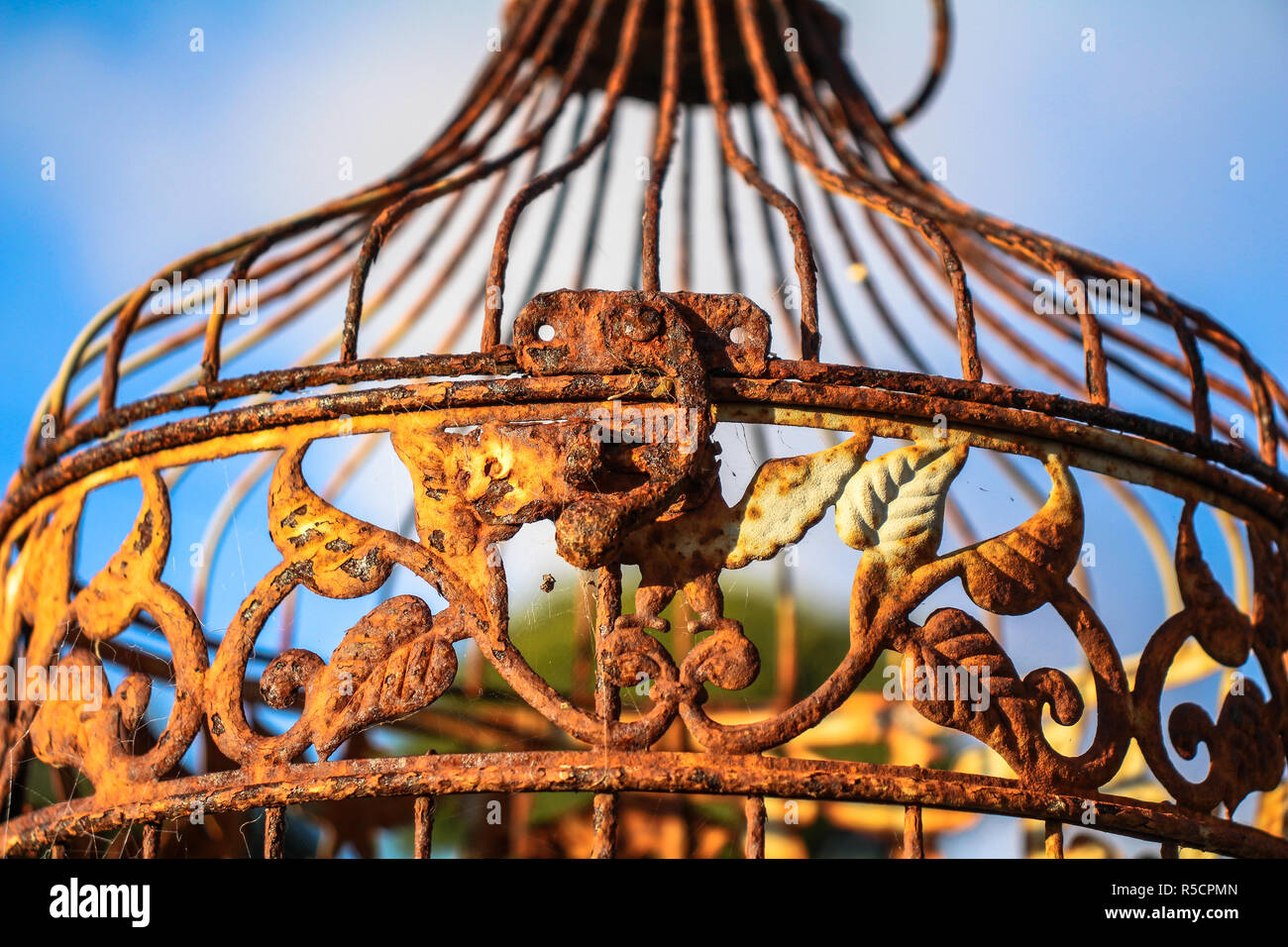 Leaf Pattern Rusted Bird Cage with Latch Stock Photo Alamy