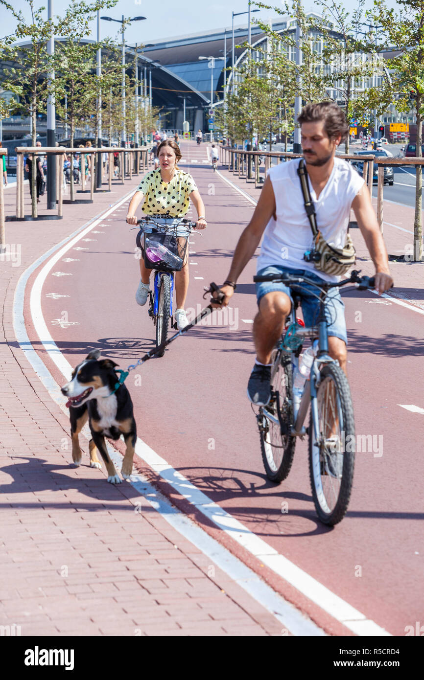 Amsterdam, The Netherlands.  Commuter and Dog Using Bicycle Lane for Riding. Stock Photo