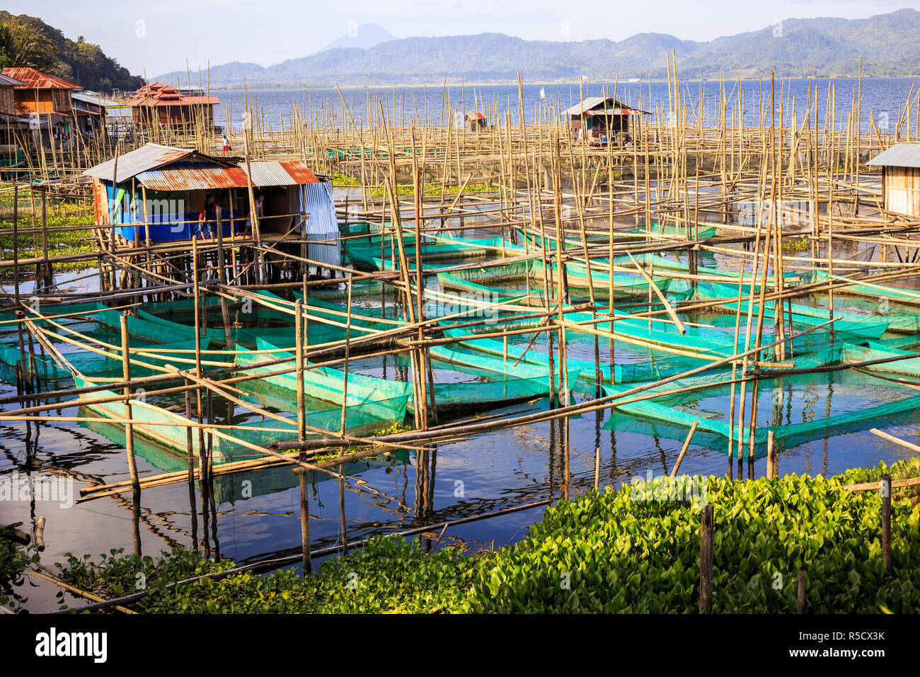 A fish farm on Lake Tondano, near Tomahon, Indonesia, with fish