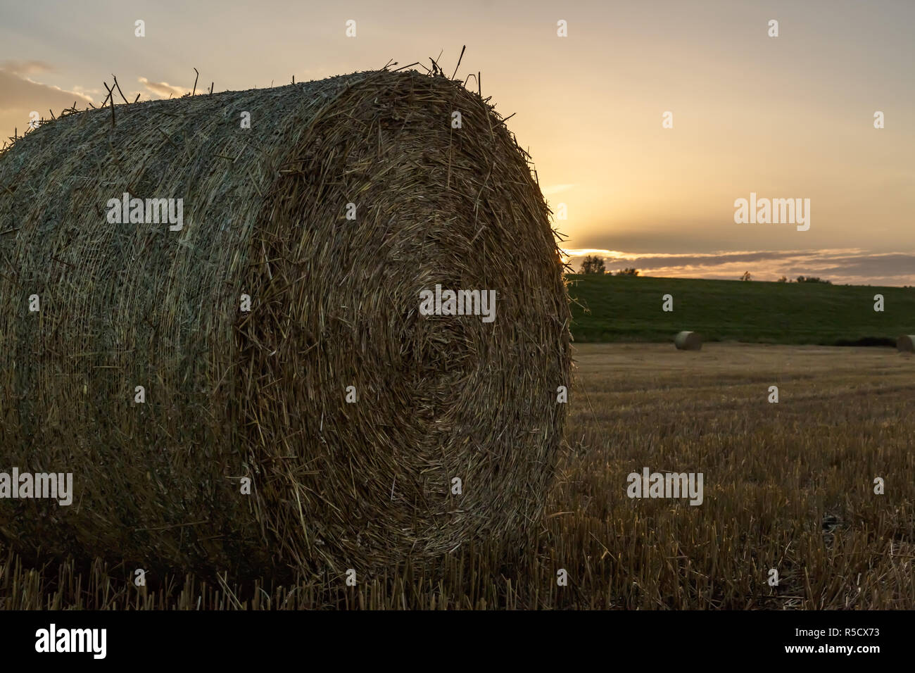 straw bales in the sunset Stock Photo