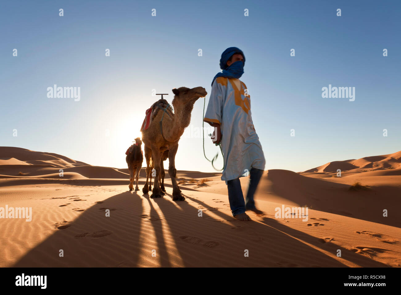 Tuareg man with camel train, Erg Chebbi, Sahara Desert, Morocco Stock Photo