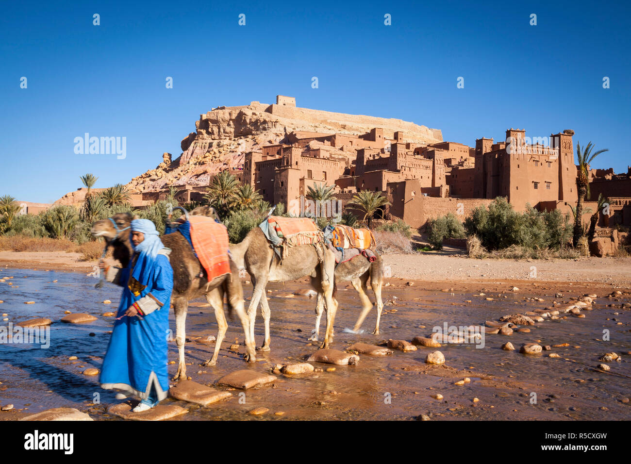 Camel Driver, Ait Benhaddou, Atlas Mountains, Morocco (MR) Stock Photo