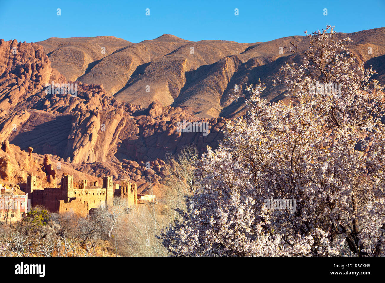 Ancient Kasbah's, Dades Gorge, Morocco Stock Photo