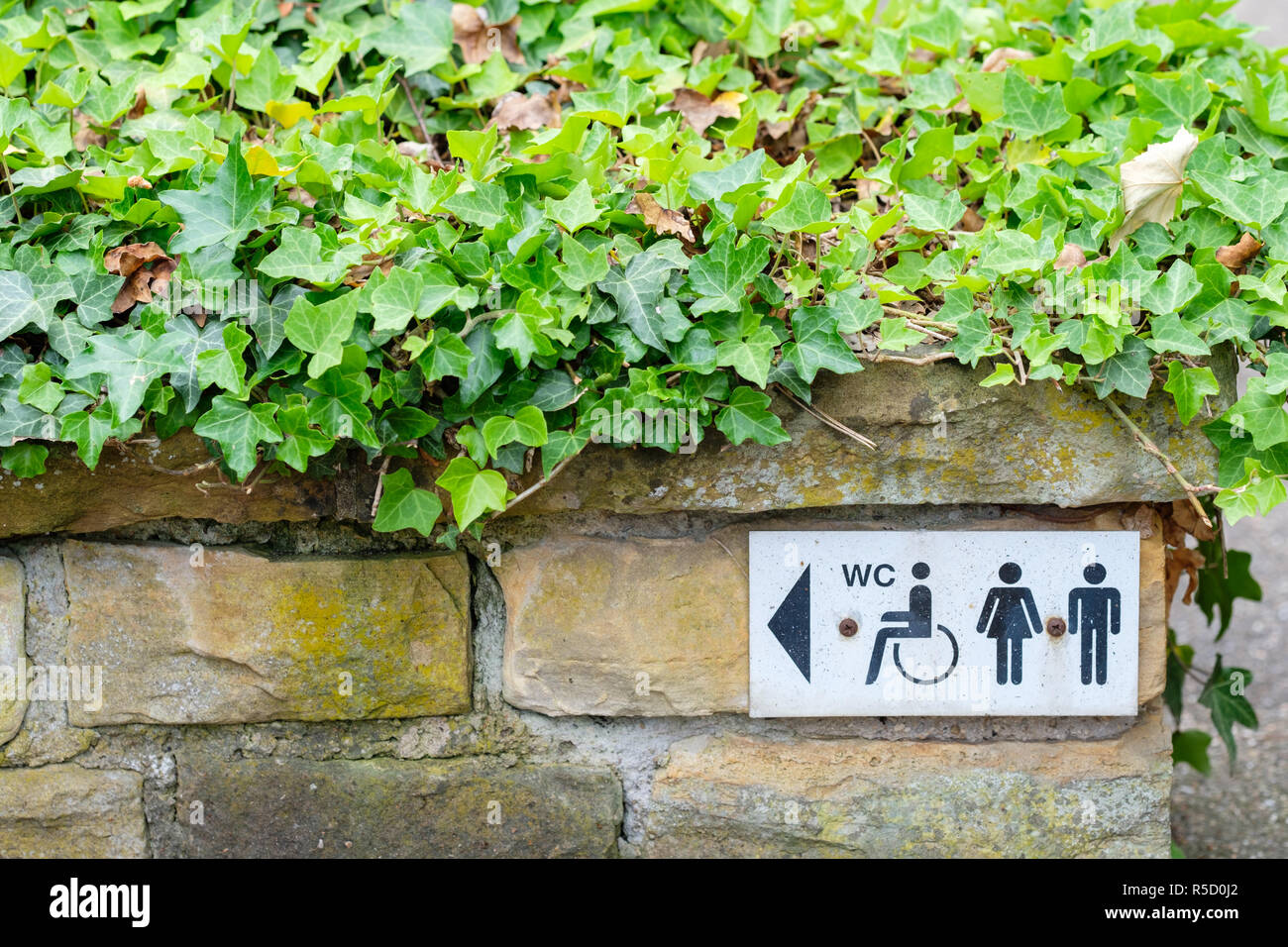 sign toilet for the disabled,women and men on a wall Stock Photo