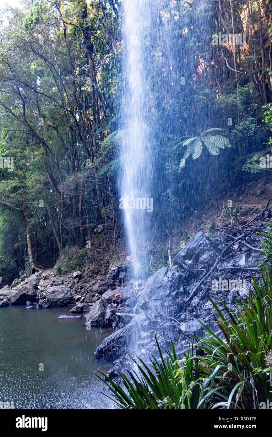 Twin Falls walking hiking circuit in Springbrook national park,Gold