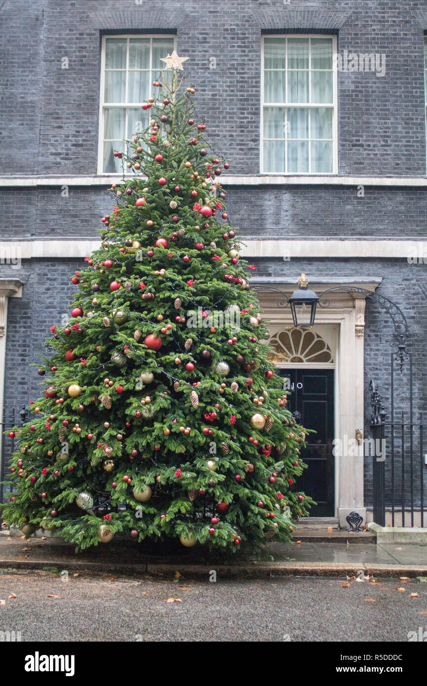 London Uk 1st December 2018 A Giant Spruce Christmas Tree With