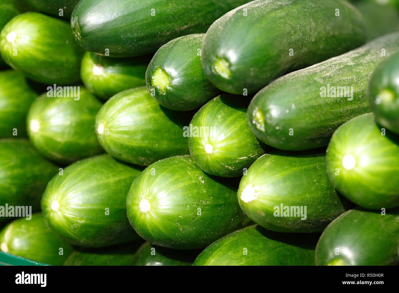 fresh green mini cucumbers on a market stall Stock Photo Alamy