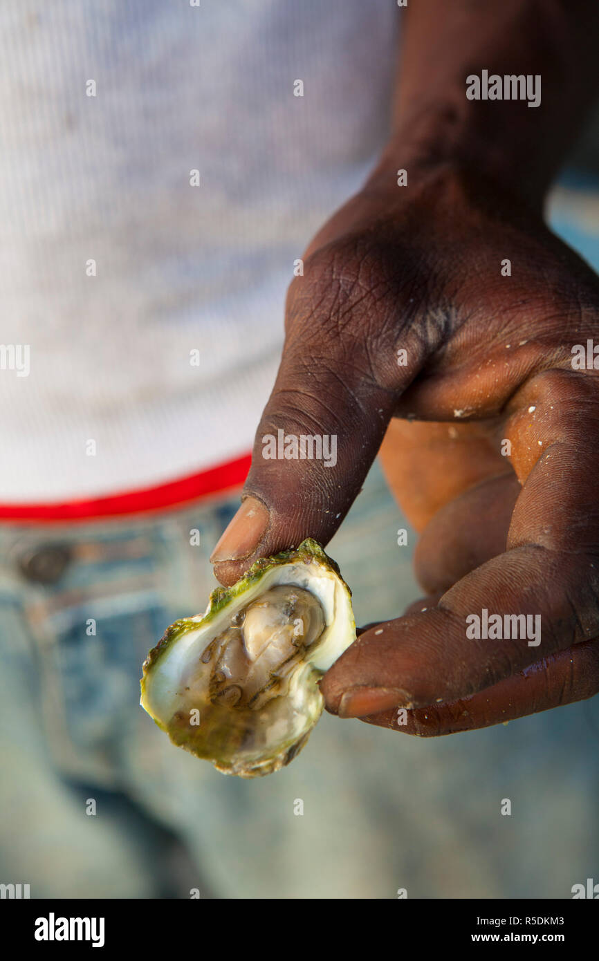 Jamaica bay oyster hires stock photography and images Alamy