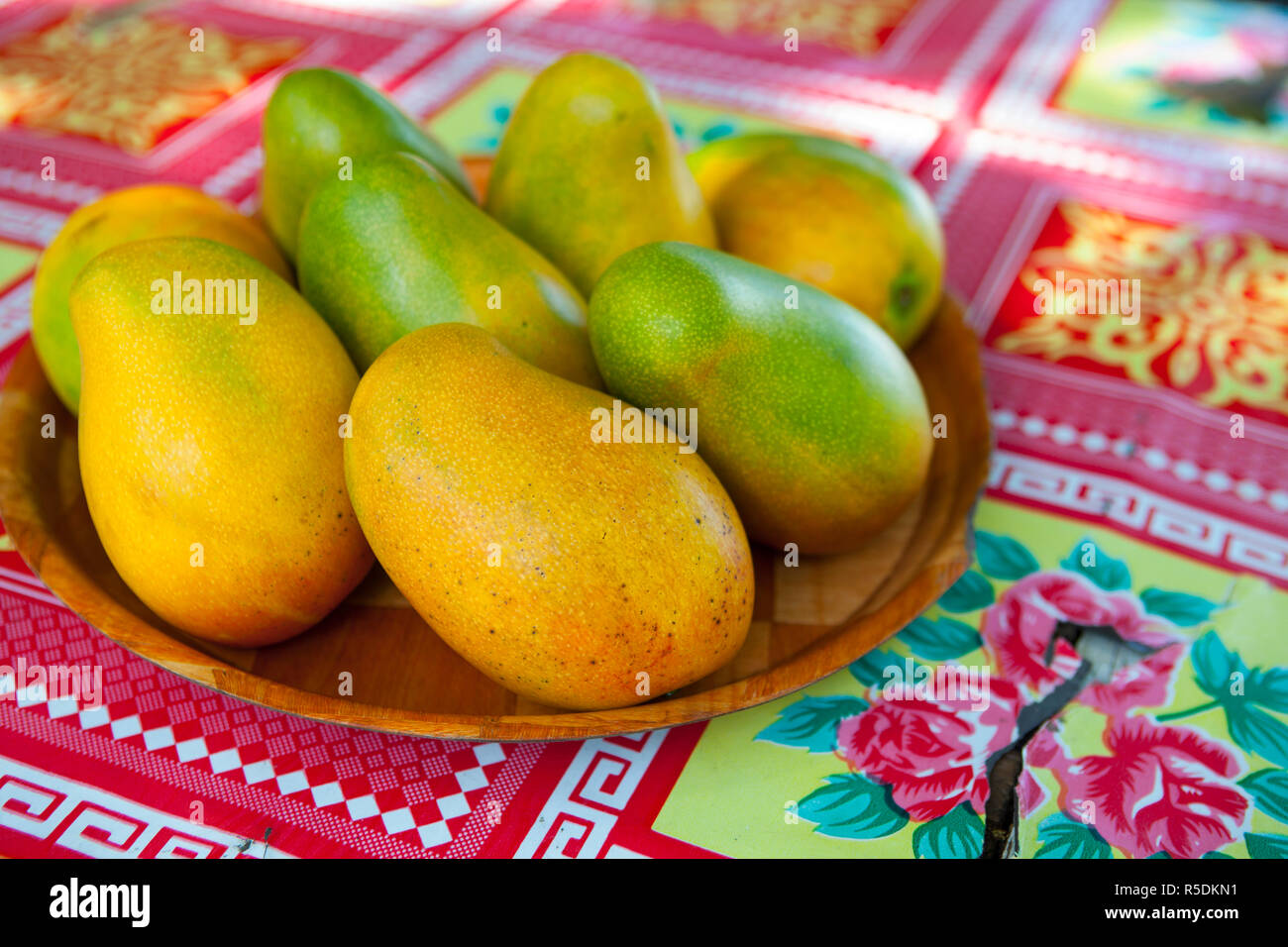 Mango's, Winnifred Beach, Portland Parish, Jamaica, Caribbean Stock