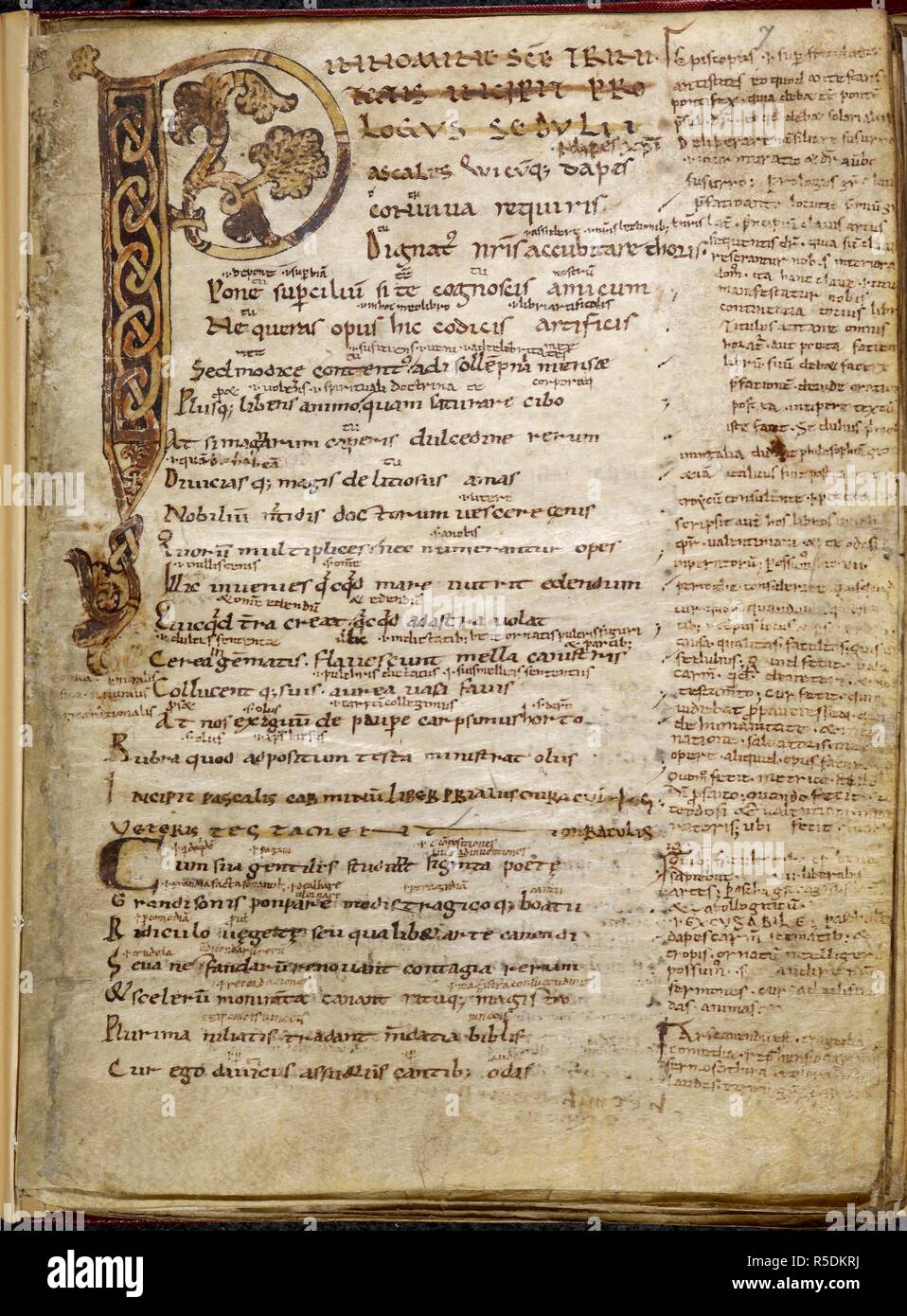 Decorated initial 'P'(ascalus) with interlace and foliate motifs at the beginning of Caelius Sedulius' Carmen paschale. Miscellany. France; 2nd or 3rd quarter of the 9th century. Source: Harley 307, f.7. Language: Latin. Stock Photo