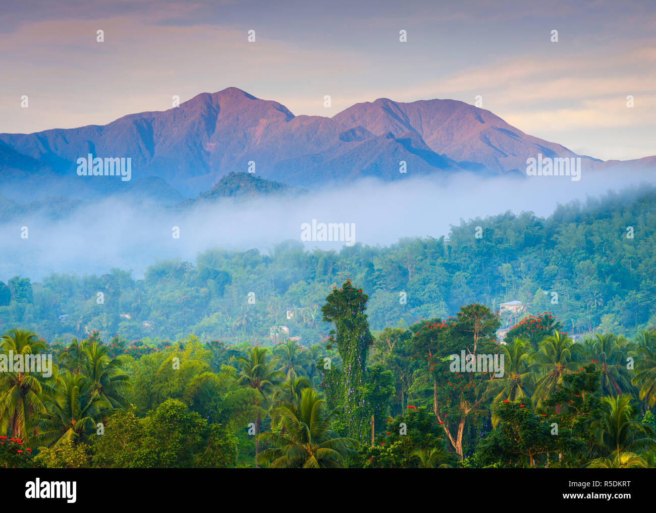Jamaican blue mountain peak hires stock photography and images Alamy