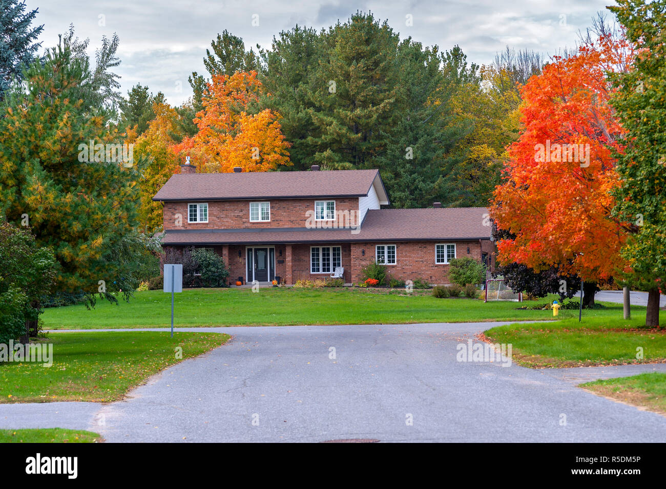 brick house and maple trees in brilliant color Stock Photo