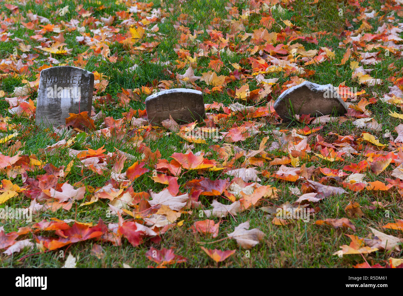 Small falling headstones surrounded by dead maple leaves Stock Photo