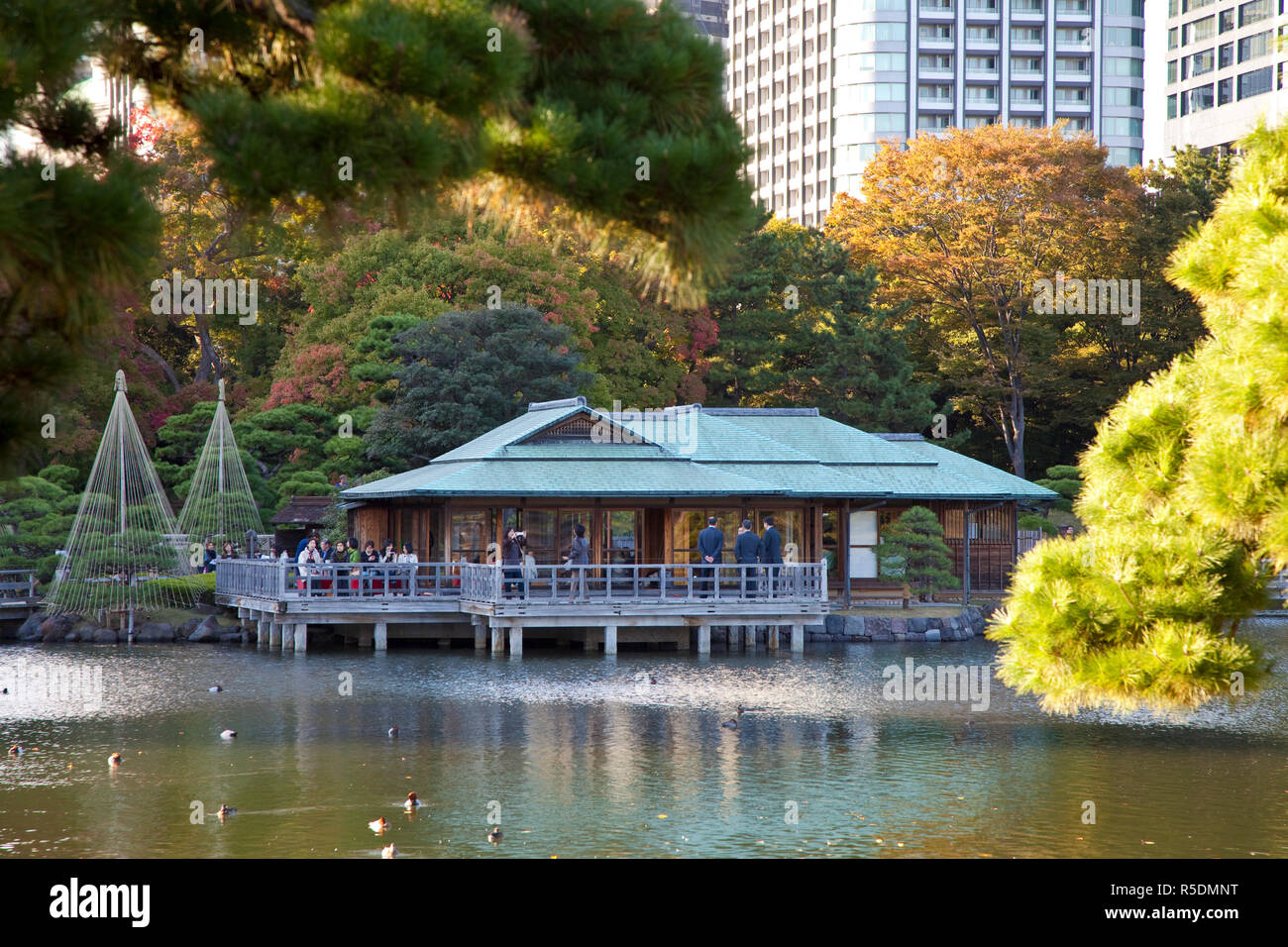Tea House In The Hama Rikyu Japanese Garden Shiodome Tokyo Japan Stock Photo Alamy