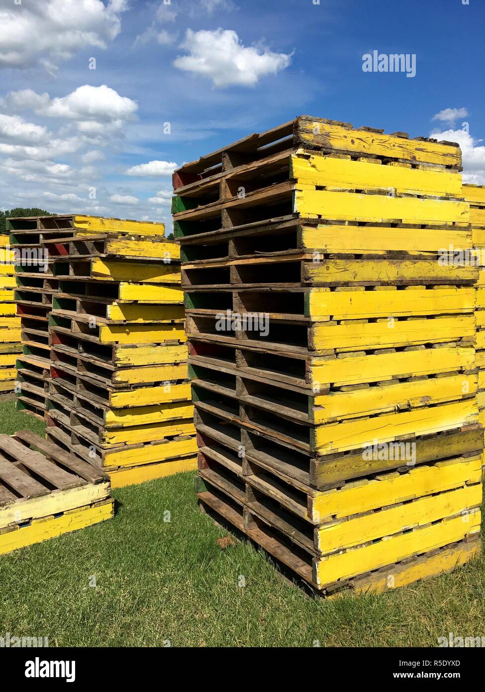 several piles of yellow wooden pallets for transporting turf on the field Stock Photo