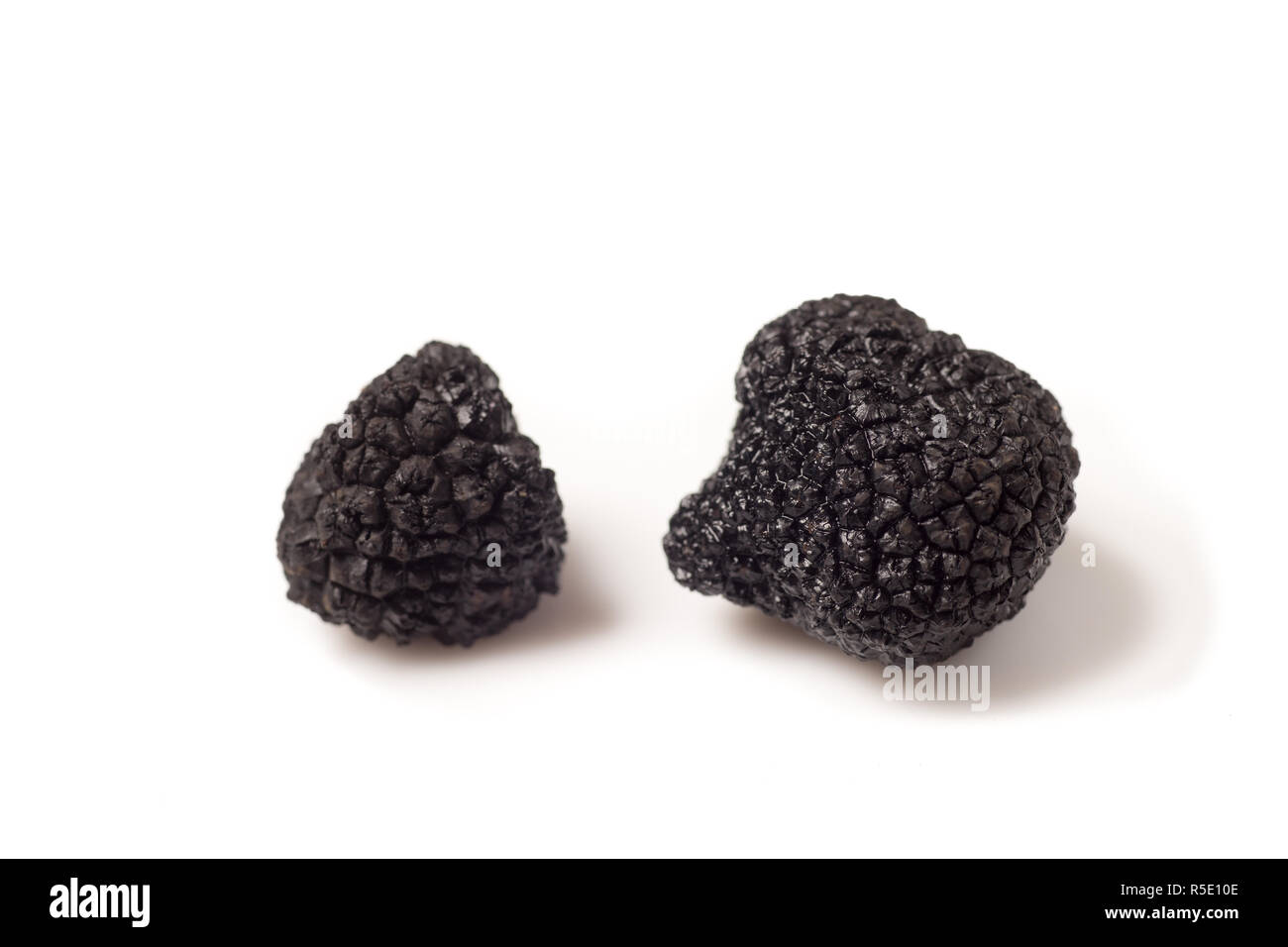 Dark brown fungi Cut Out Stock Images & Pictures - Alamy