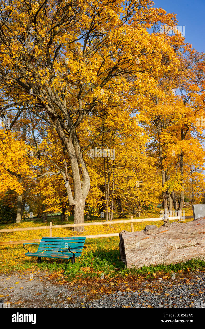 Romantic fall autumn trees colourful foliage scenery in Barockparken (Barock park), Upplands Vasby, STHLM, Sweden Stock Photo