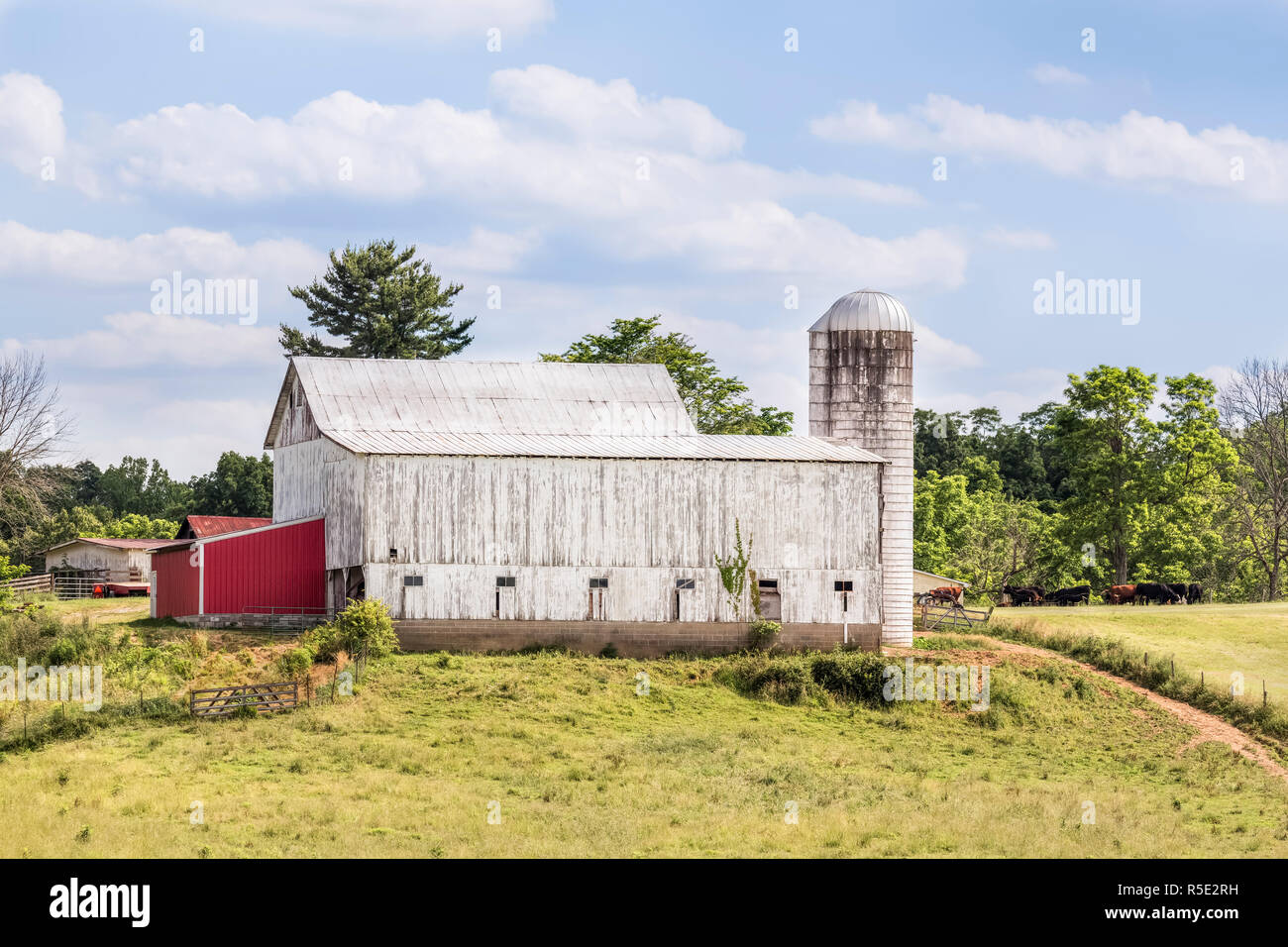 A large white cattle barn with silo stands on a hilly Ohio farm under a cloudy blue sky. Stock Photo