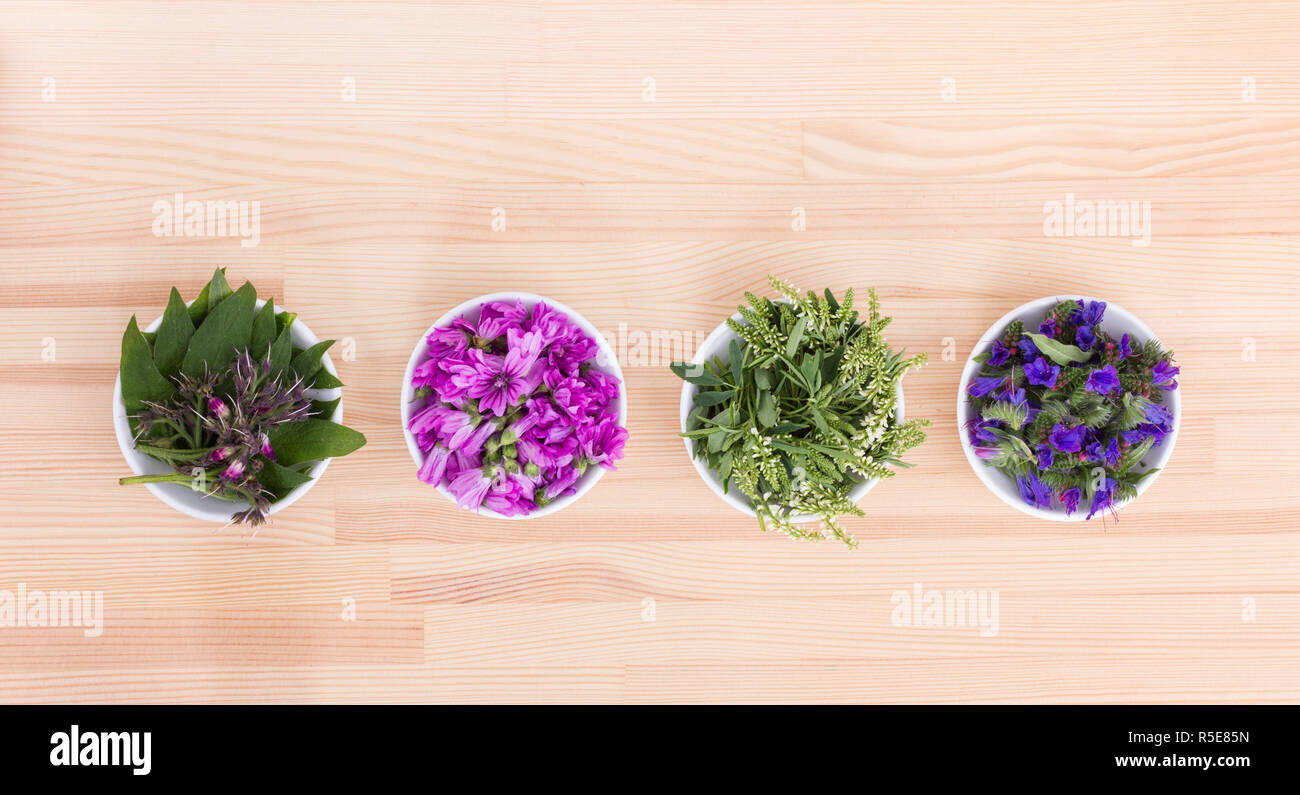 Hollyhock tea hires stock photography and images Alamy