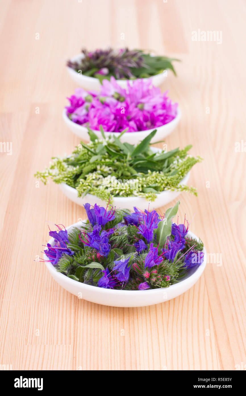 Hollyhock tea hires stock photography and images Alamy