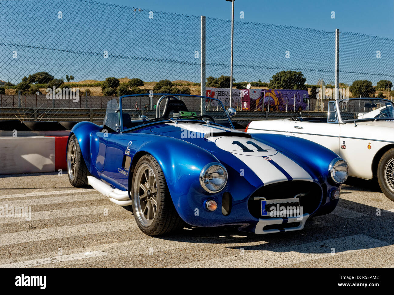 Madrid Spain October 30th 11 Shelby Cobra 427 In The Jarama Vintage Festival Circuit Of Jarama Madrid Spain Stock Photo Alamy