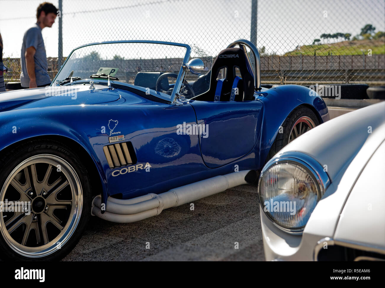 Madrid Spain October 30th 11 Shelby Cobra 427 In The Jarama Vintage Festival Circuit Of Jarama Madrid Spain Stock Photo Alamy