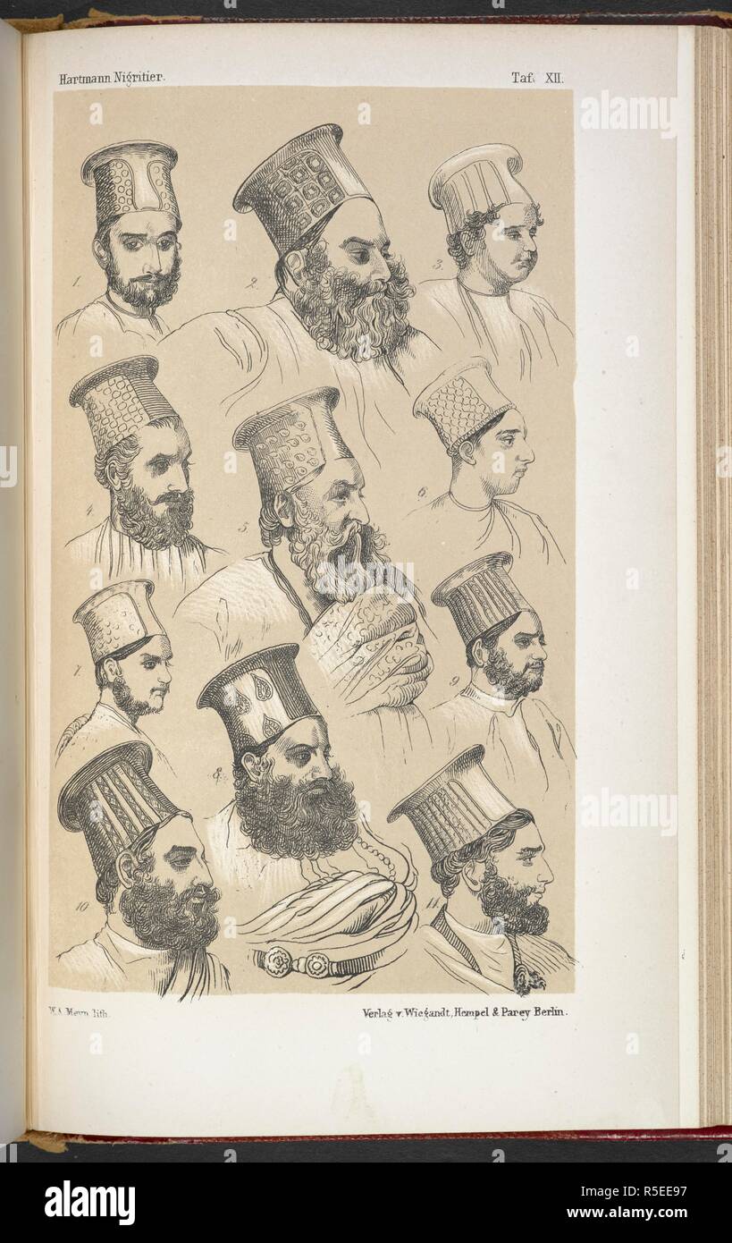 Drawings of Omrah of Sindhi and his relatives. Die Nigritier. Eine anthropologisch-ethnologische Monographie, etc. Berlin, Leipzig [printed], 1876, etc. Source: 10006.g.4, plate XII. Language: German. Stock Photo