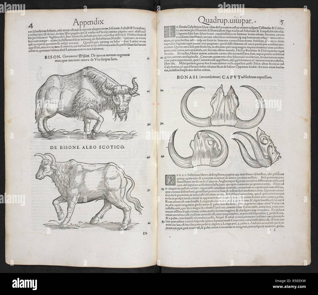 henry édouard neville book of the heavenly cow henry édouard neville book of the heavenly cow