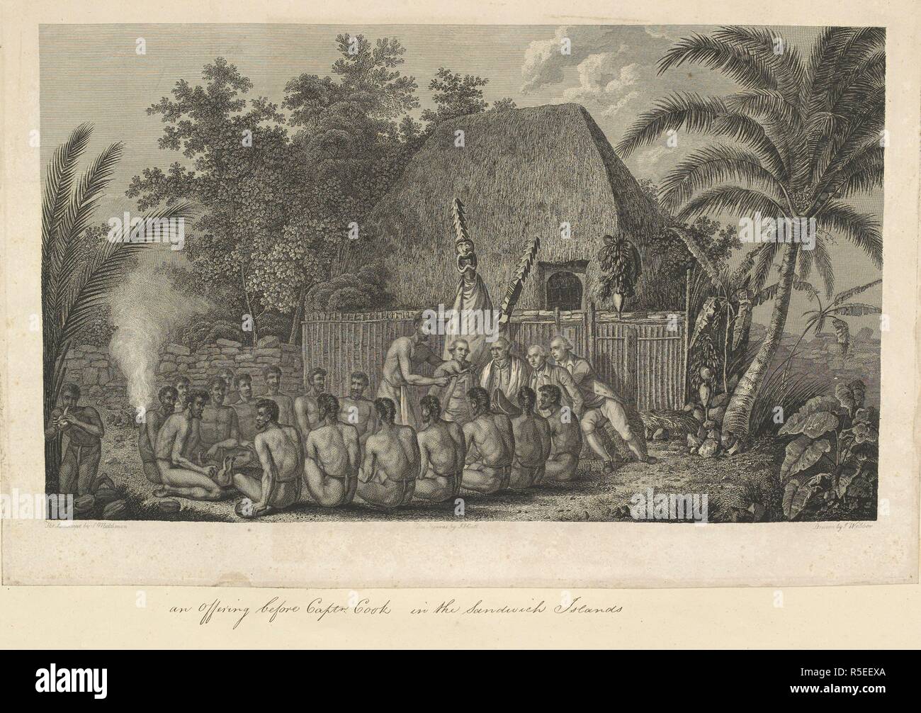An offering before Captain Cook in the Sandwich Islands. Drawn by John Webber; the landscape engraving by Samuel Middiman; the figures by John Hall. A scene in Hawaii in 1778. Hawaiian men are seated on the ground around four European men, and are offering suckling pigs. Behind the Europeans stands a figure in a tall mask, and in the background is a fenced enclosure containing a steep-roofed thatched building. There are palms and other native vegetation at left and right. A collection of drawings by A. Buchan, S. Parkinson, and J. F. Miller, made in the Countries visited by Captain James Cook  Stock Photo