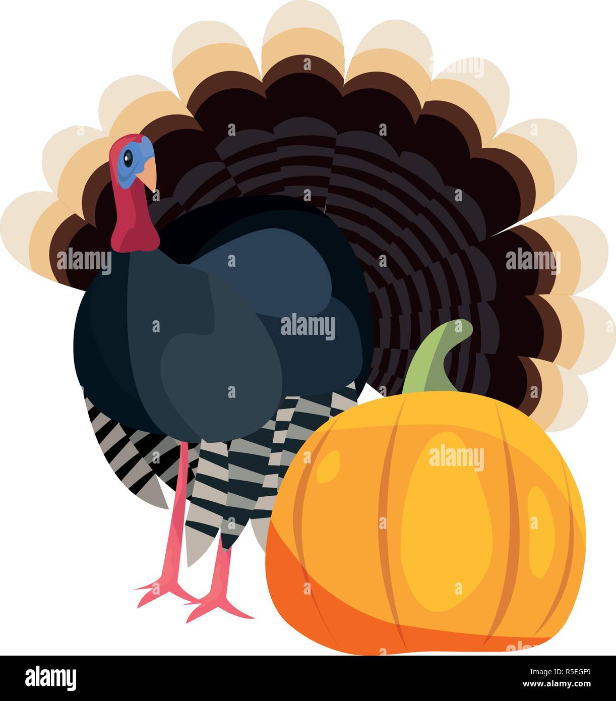 thanksgiving turkey and pumpkin food vector illustration Stock Vector ...