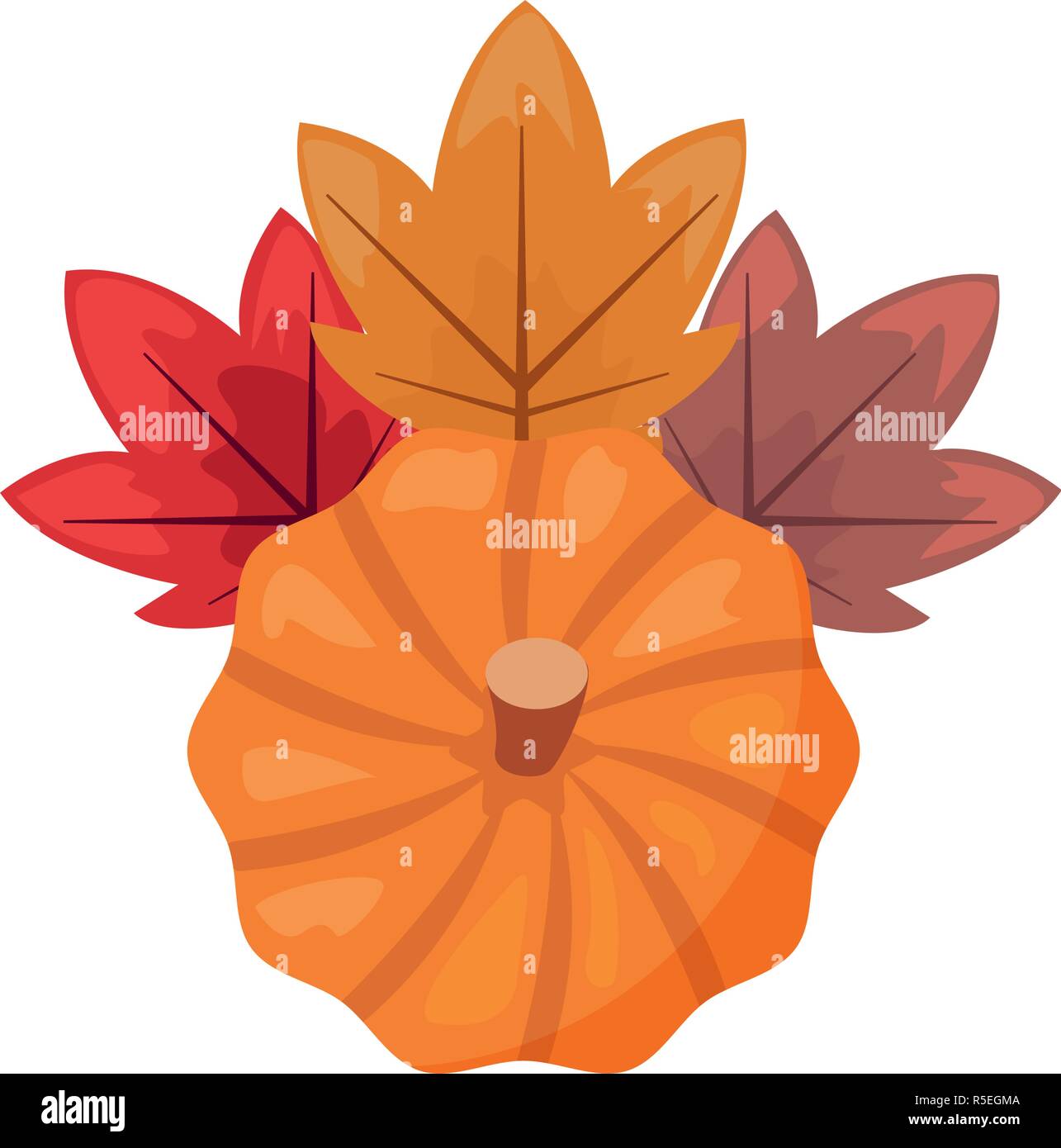pumpkin laeves foliage white background vector illustration Stock ...