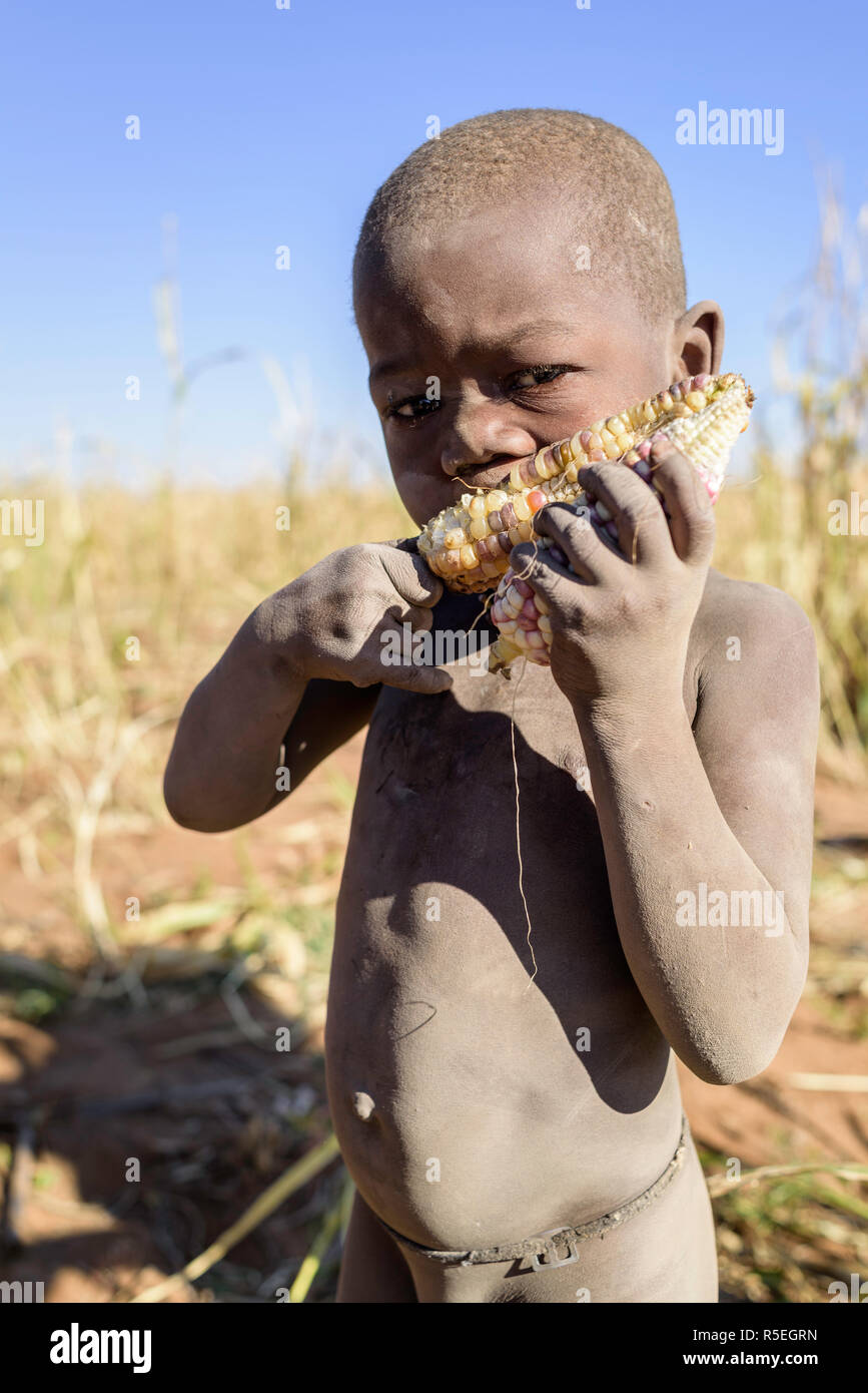 Portrait Of A Naked Himba Boy Eating A Corncob Stock Photo - Alamy