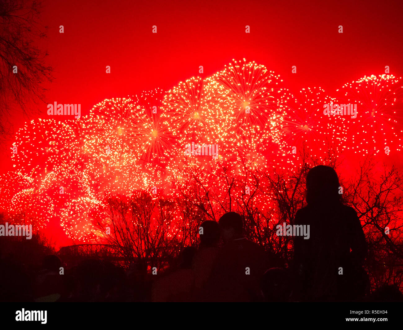 Democratic Peoples's Republic of Korea (DPRK), North Korea, Pyongyang, Fireworks to celebrate the 100th Anniversay of the birth of President Kim Il Sung - April 15th 2012 Stock Photo