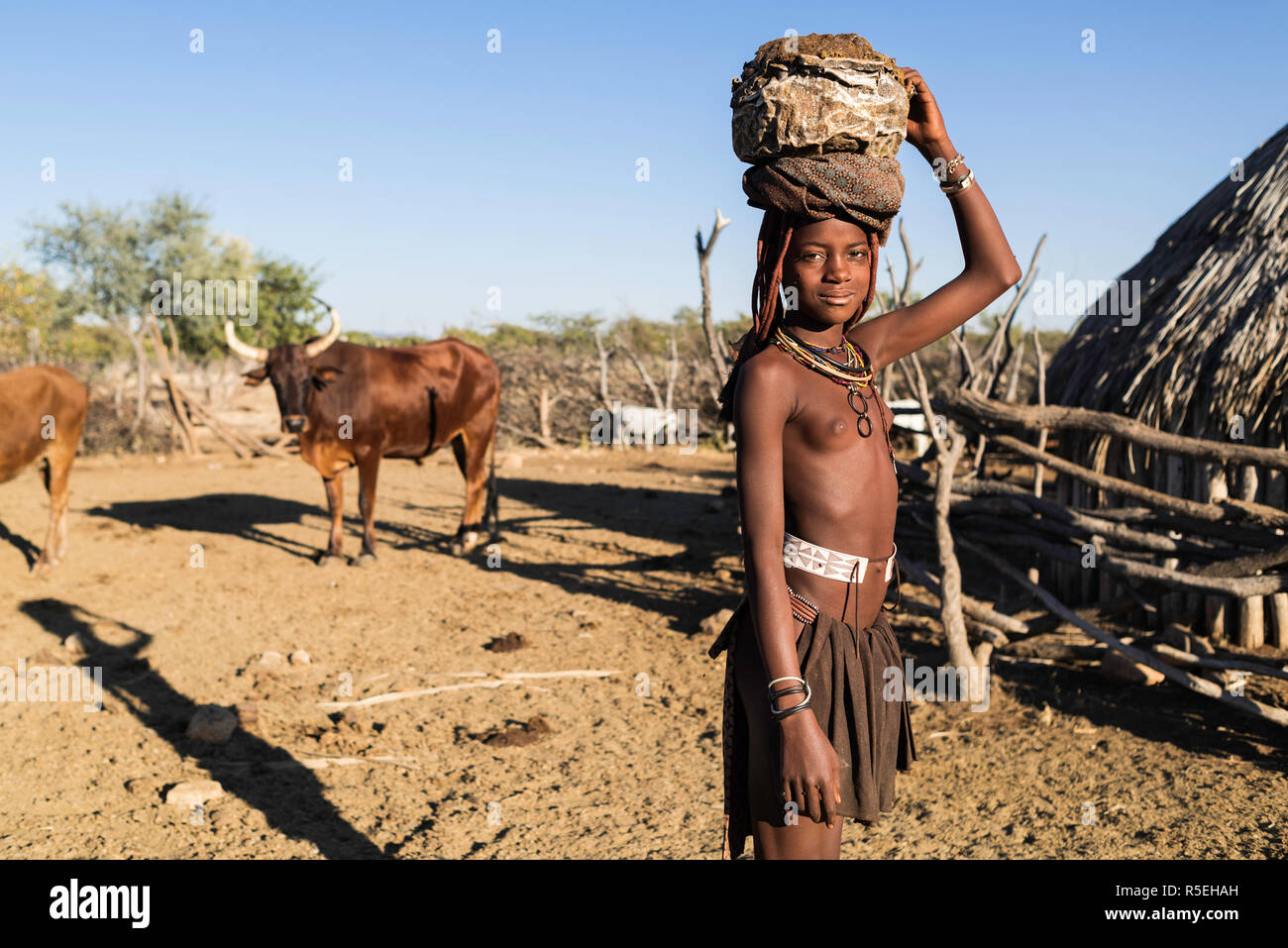 Young Himba girl collecting cow dung to plaster the walls of her hut. Stock Photo
