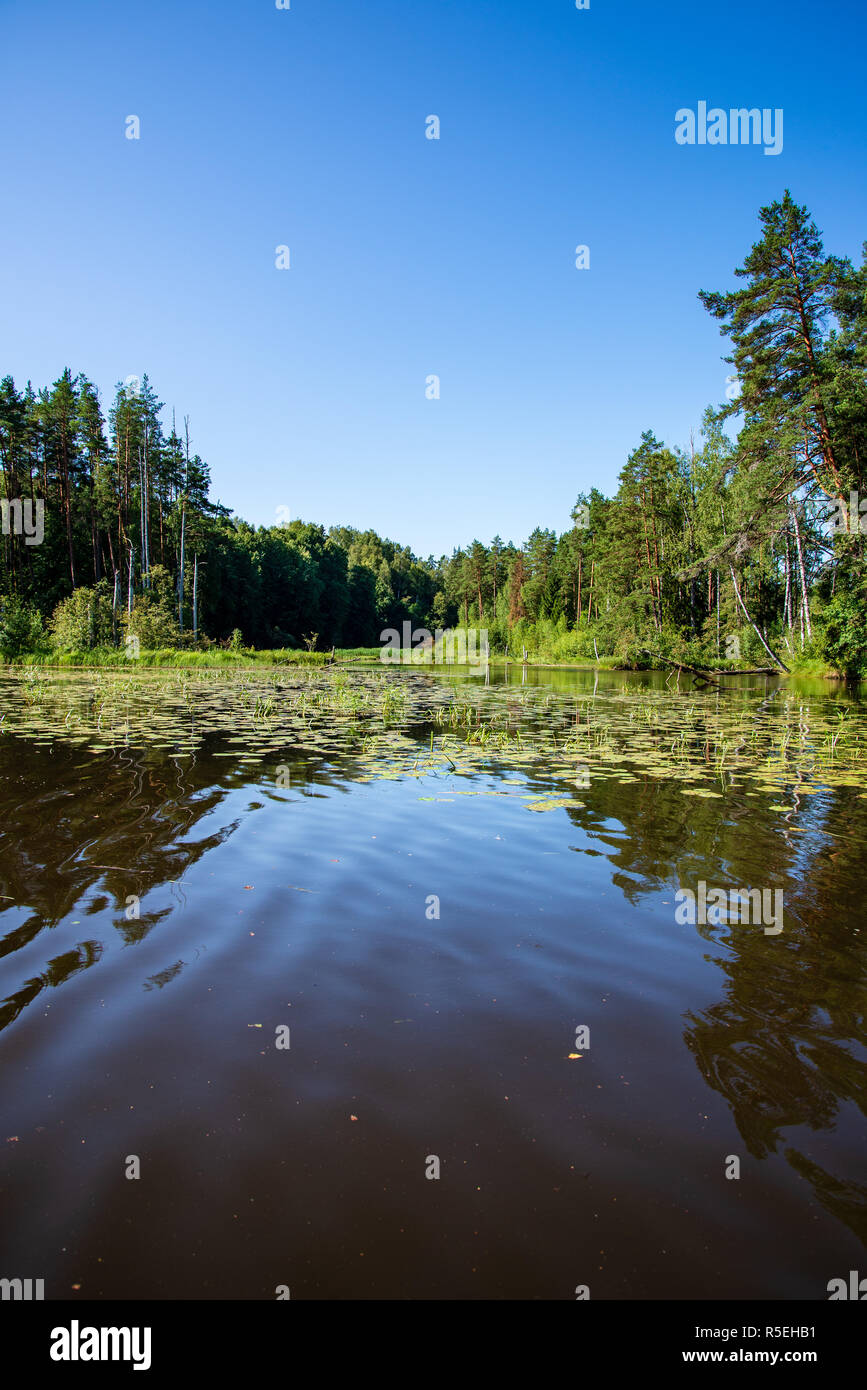 Brasla summer day on water in calm river enclosed in forests with sandstone ...