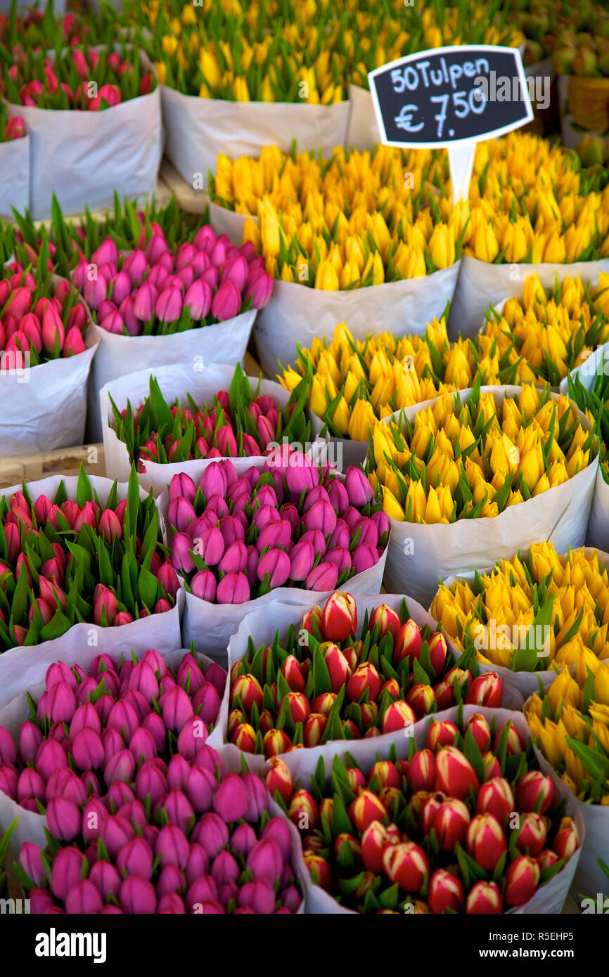 Bloemenmarkt flower market amsterdam netherlands hires stock