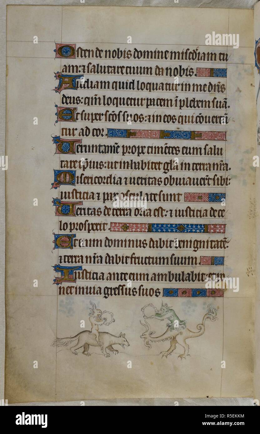 The queen of the tambourine hires stock photography and images Alamy