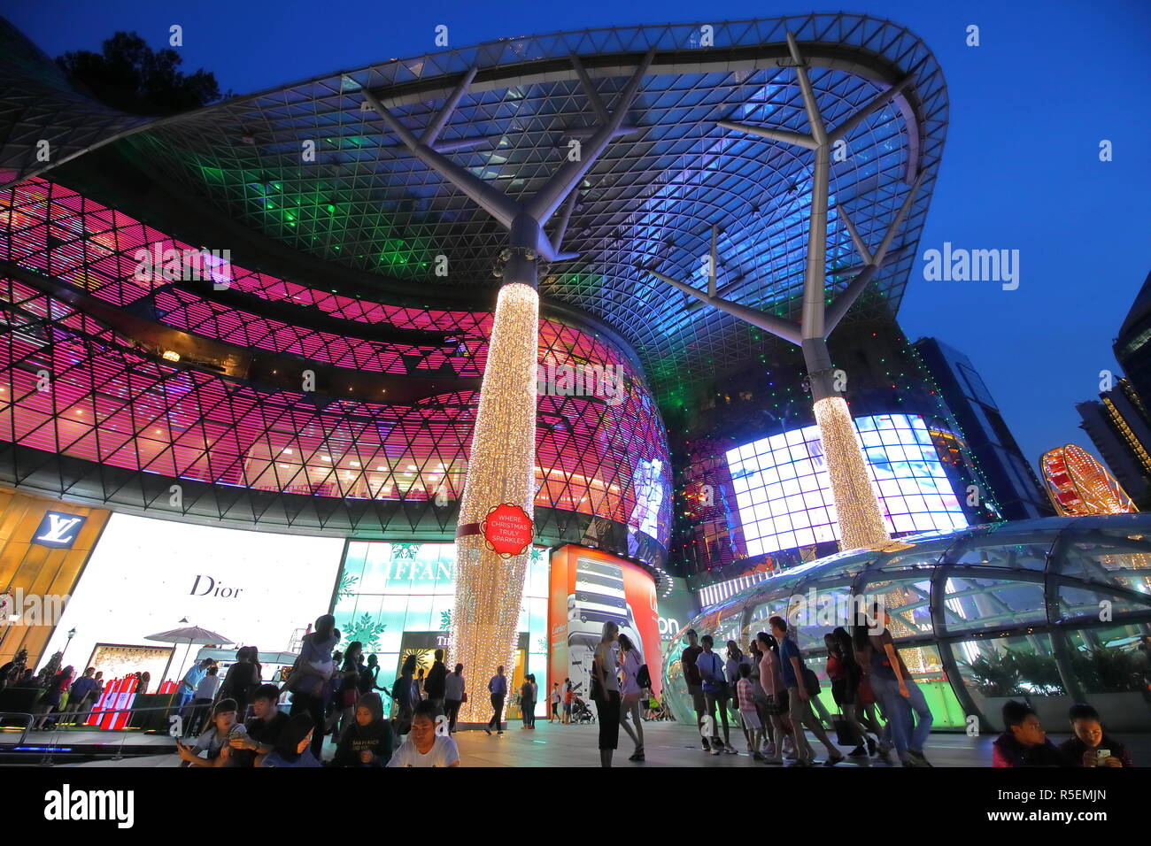 Ion store orchard puma