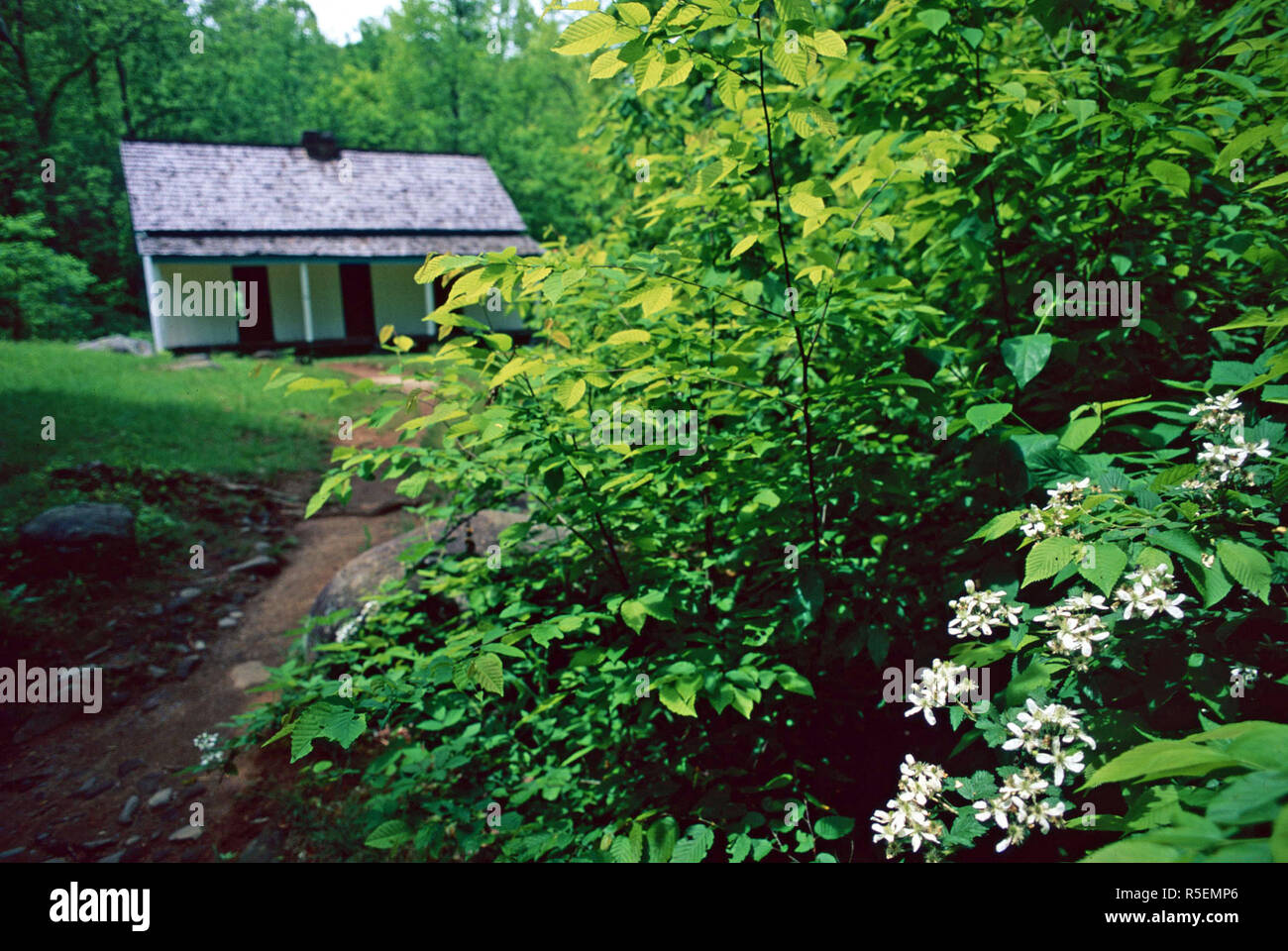 Alfred Reagan Place,Great Smoky Mountains National Park, Tennessee