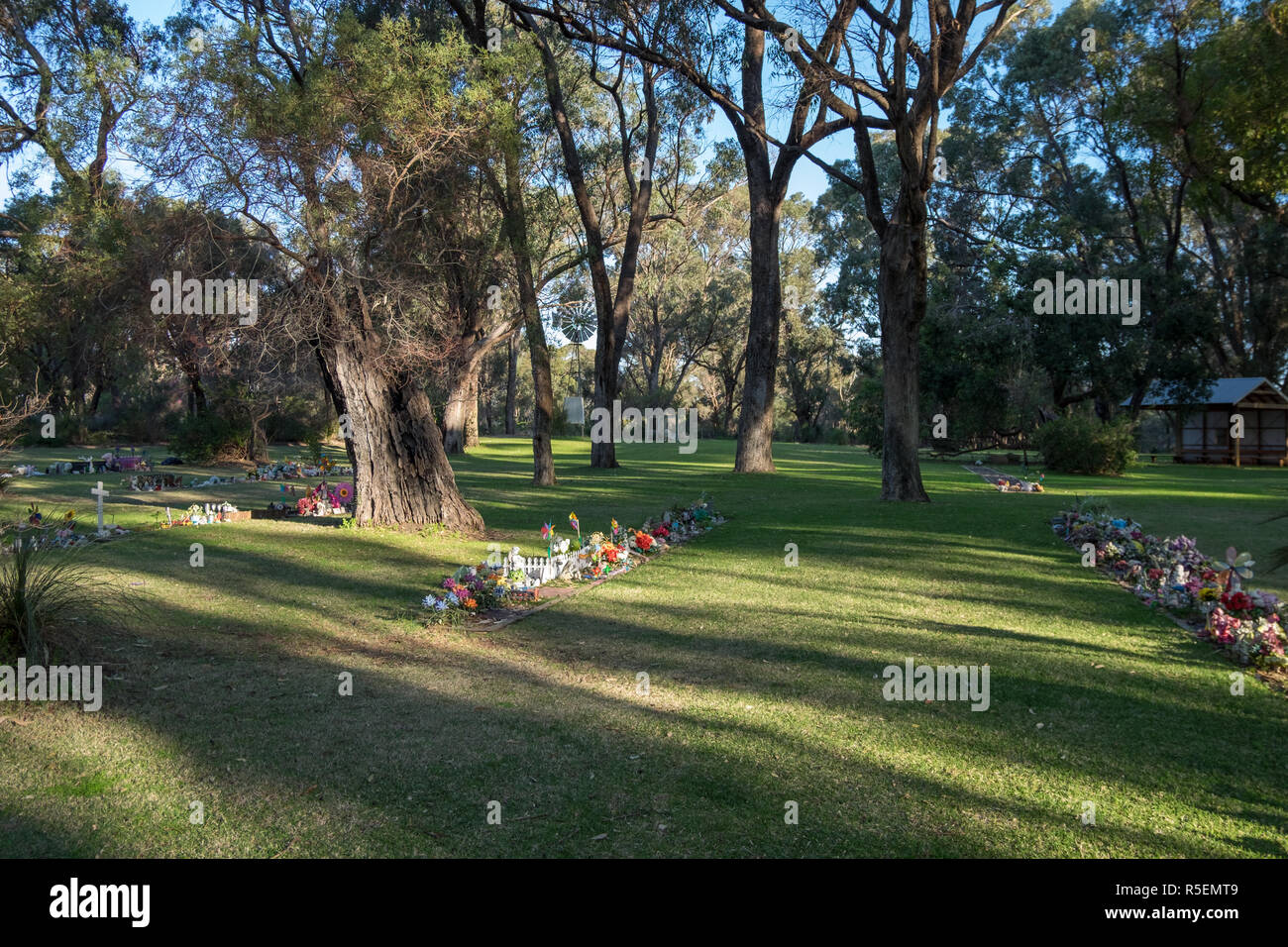 Are Dogs Allowed At Pinnaroo Memorial Park