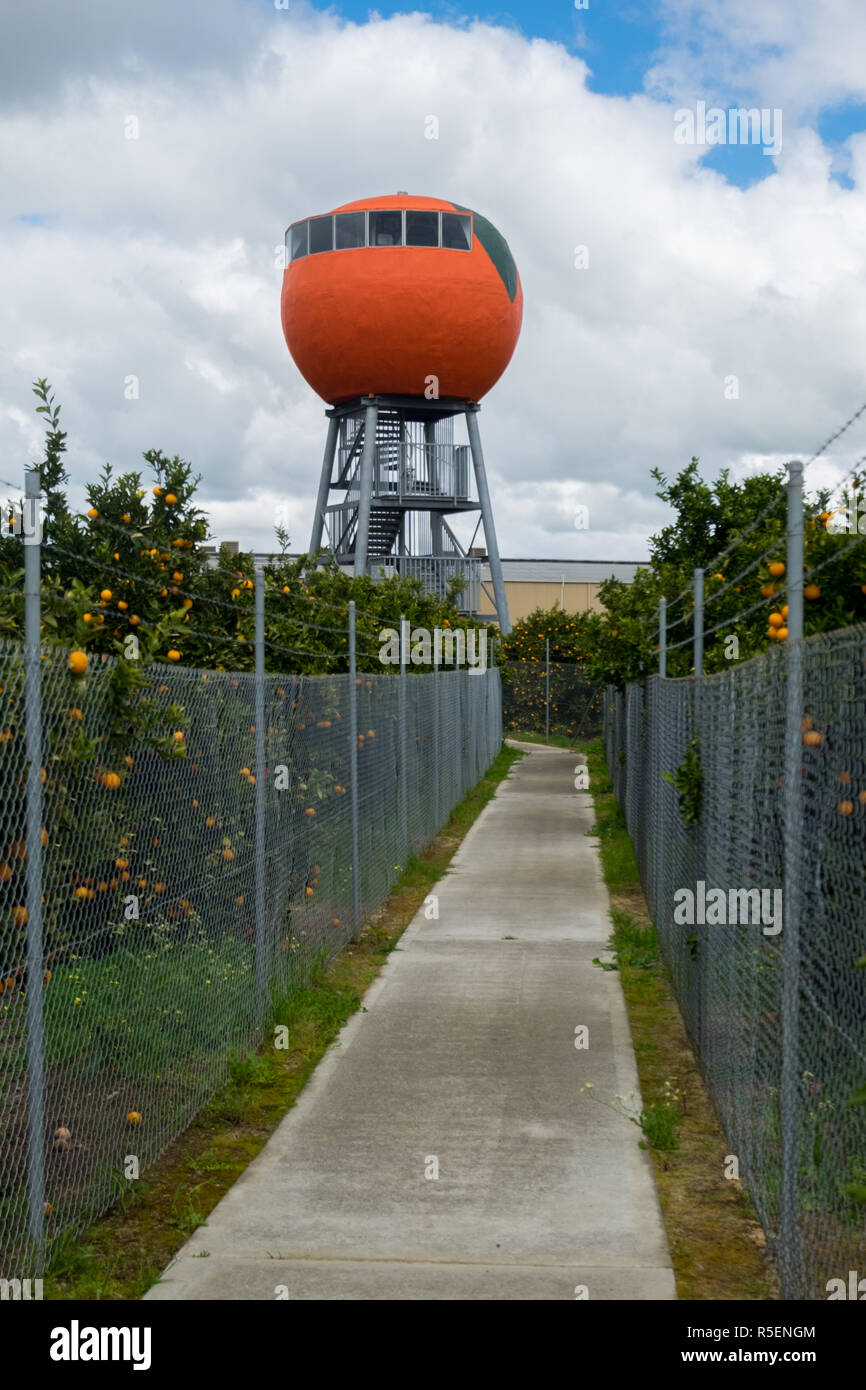The Big Orange in Harvey, Western Australia. The tower is about three stories tall and overlooks an orange grove. Stock Photo