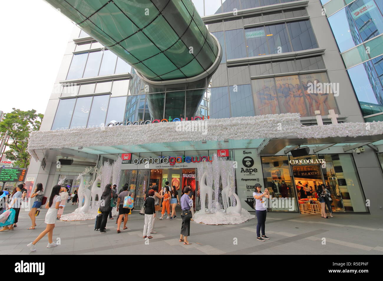 Singapore: Orchard Road Mega-Malls, VasenkaPhotography