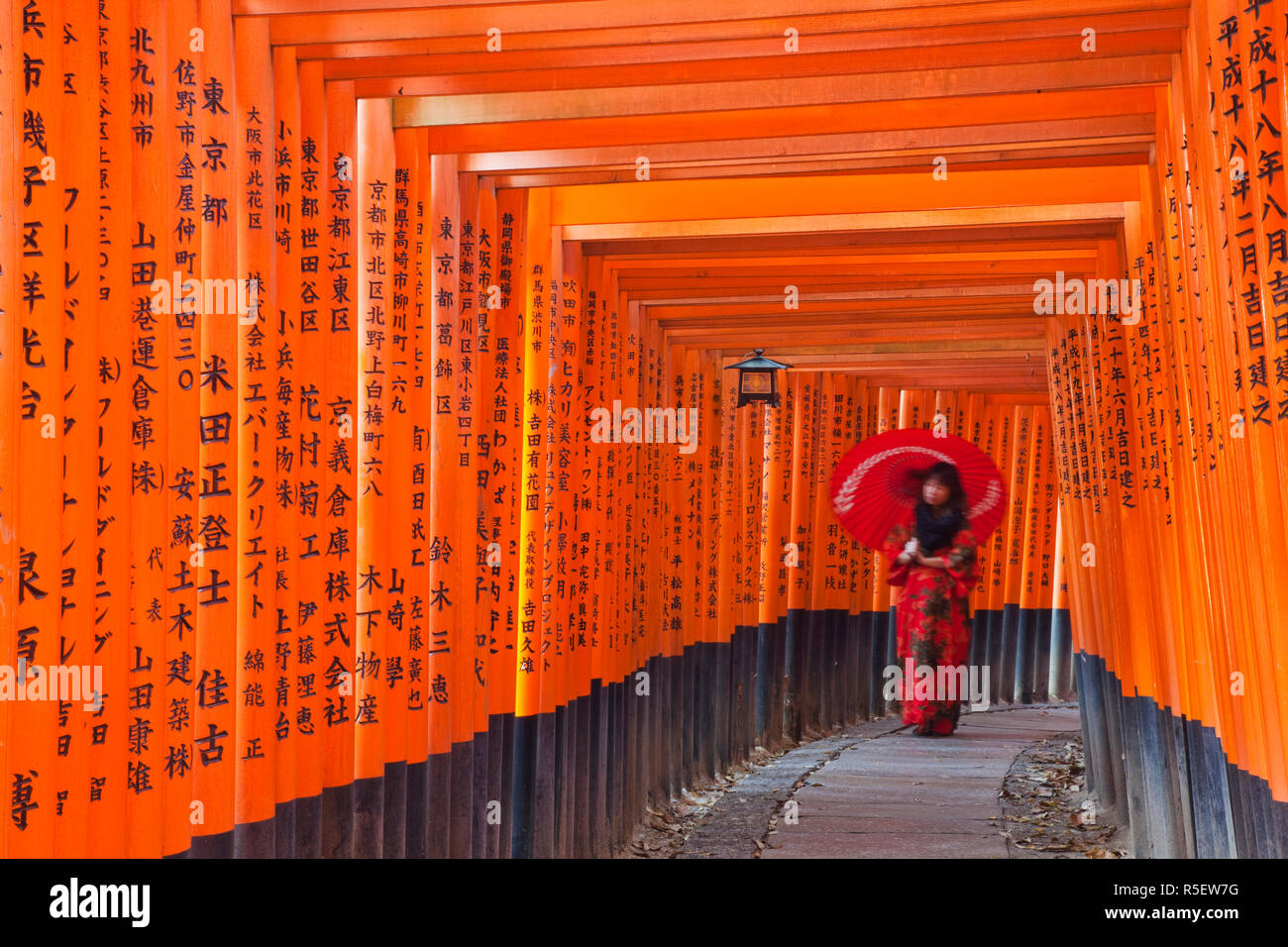 Japan, Kyoto, Fushimi Inari Taisha Shrine, Tunnel of Torii Gates Stock ...