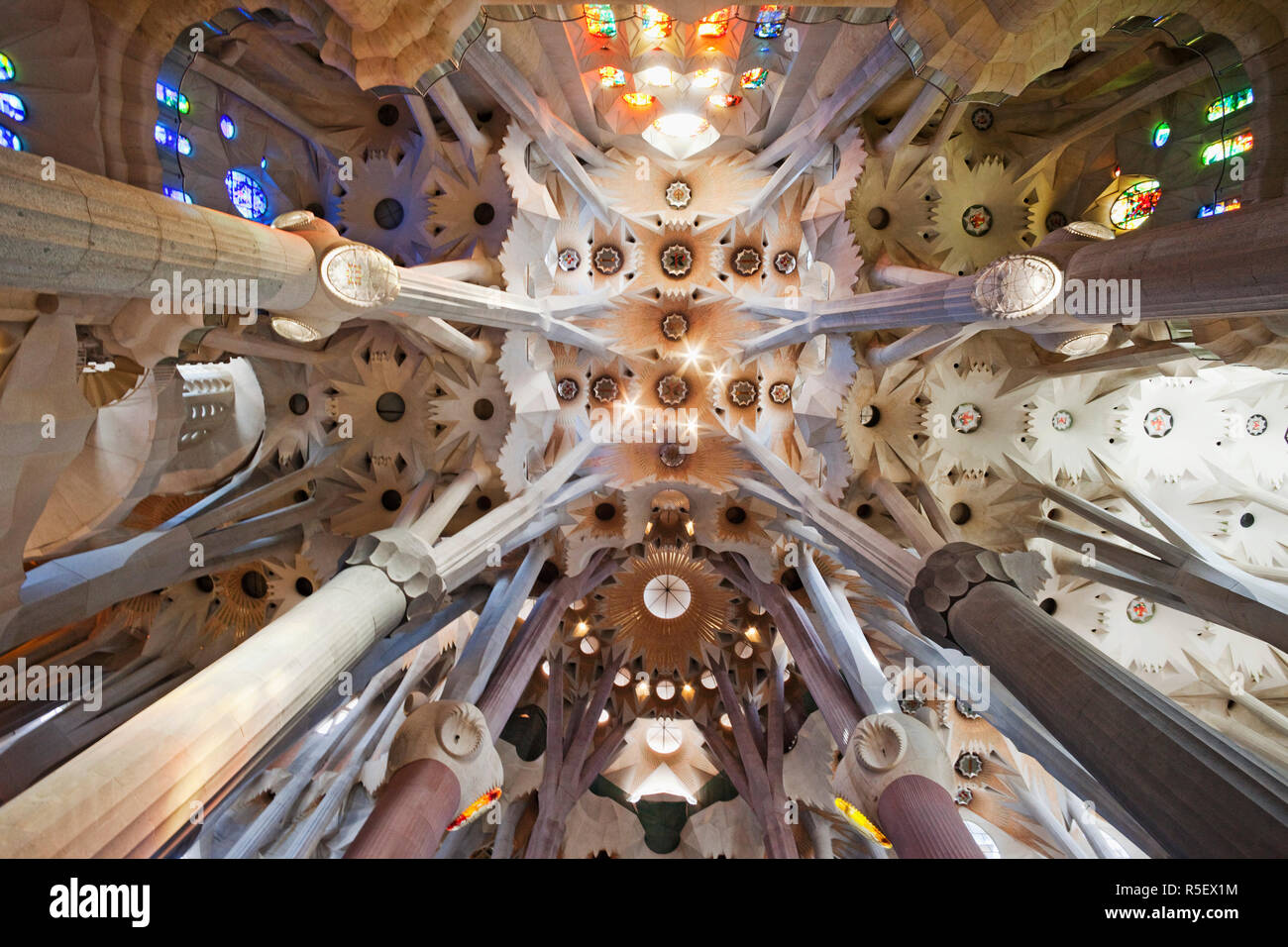 Spain, Barcelona, Sagrada Familia, Interior Stock Photo - Alamy