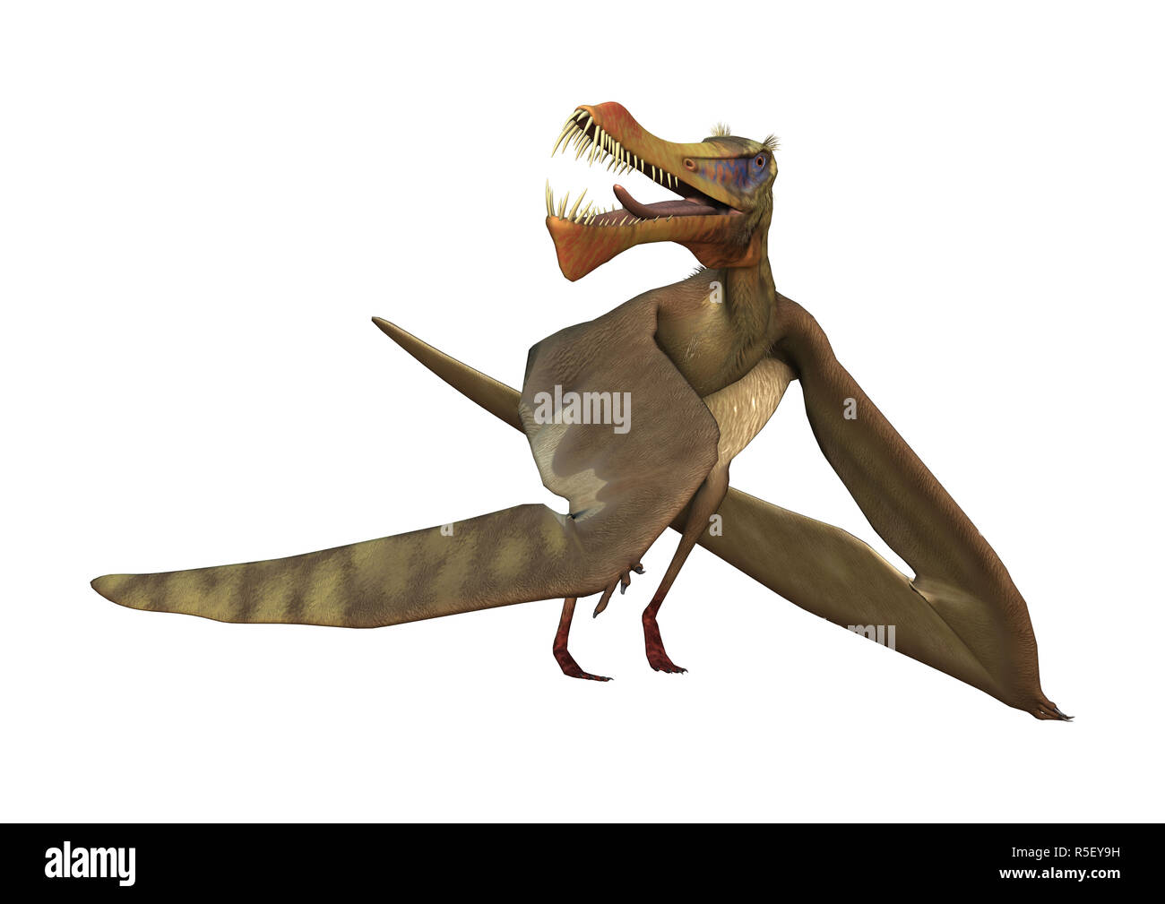 Egg Pterodactyl 3d Rendering Stock Illustration 750067945